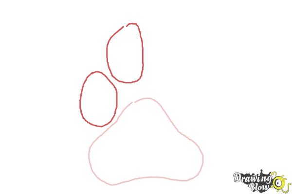 How to Draw a Paw Print - DrawingNow