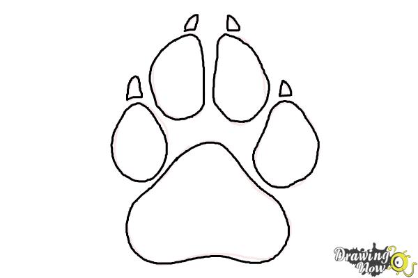 Featured image of post Dog Paw Drawing Tutorial : Use a toothpick to poke holes around the edges of the dog paw drawing.