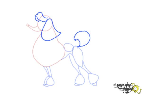 How to Draw a Poodle Step by Step - Step 9