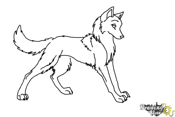 how to draw an anime wolf pup step by step