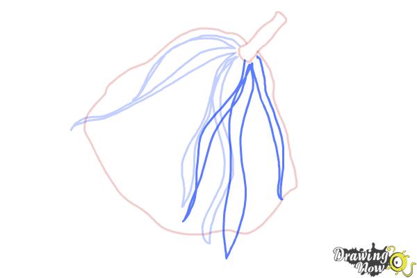 How to Draw a Pom Pom - Step 5