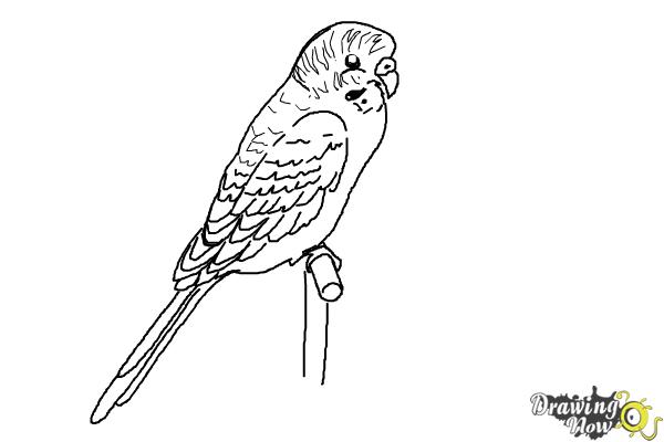 Coloring Page