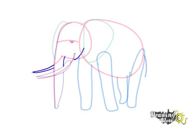 How to Draw Elephants - Step 10