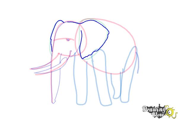 How to Draw Elephants - Step 11