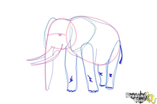 How to Draw Elephants - Step 14