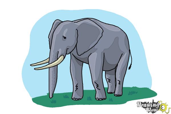 How to Draw Elephants - Step 16