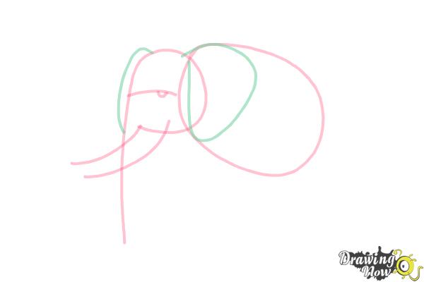 How to Draw Elephants - Step 5