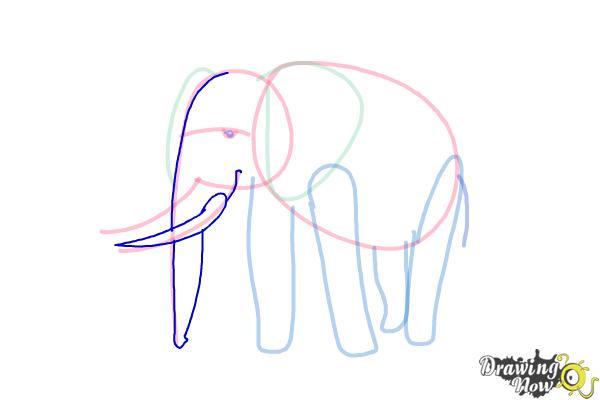 How to Draw Elephants - Step 9