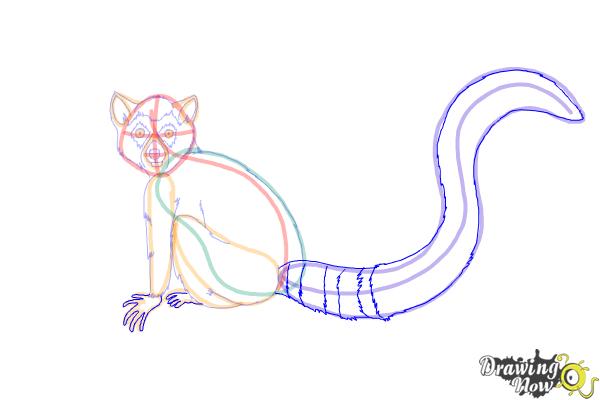 How to Draw a Lemur - Step 10