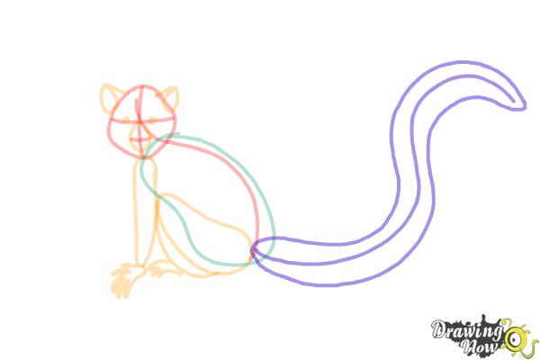 How to Draw a Lemur - Step 6