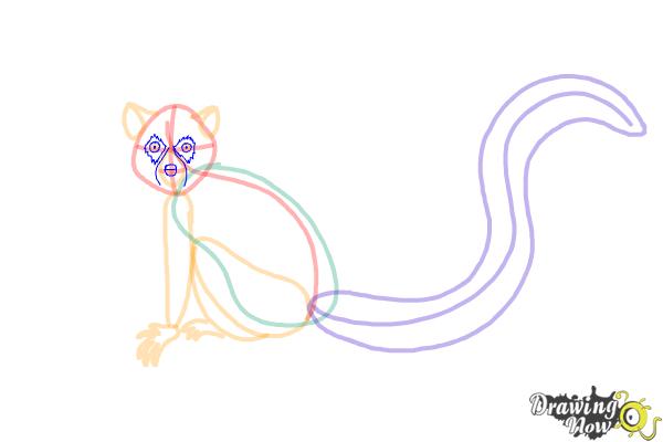 How to Draw a Lemur - Step 7