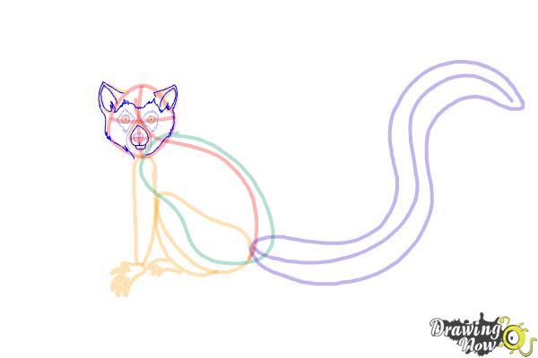 How to Draw a Lemur - Step 8