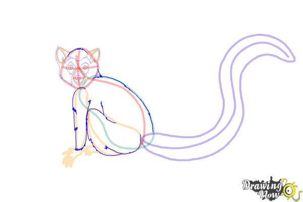 How to Draw a Lemur - Step 9