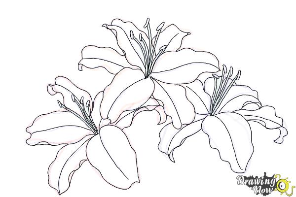 Coloring Page