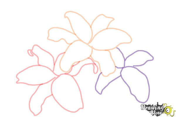 How to Draw Lillies - Step 5