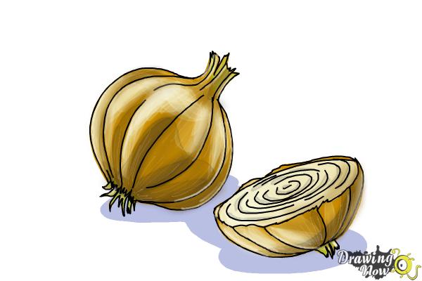 How to Draw an Onion - Step 10