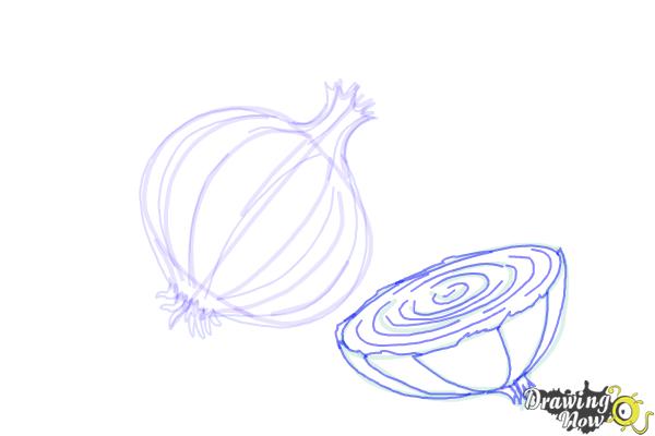 How to Draw an Onion - Step 8