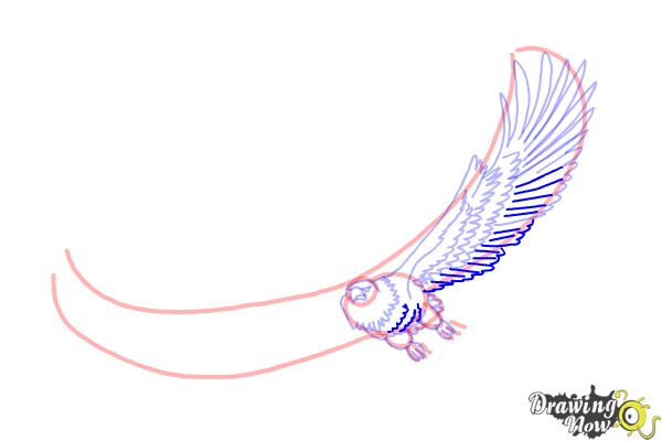 How to Draw Eagle Wings - Step 13