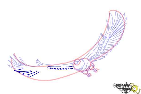 How to Draw Eagle Wings - Step 15