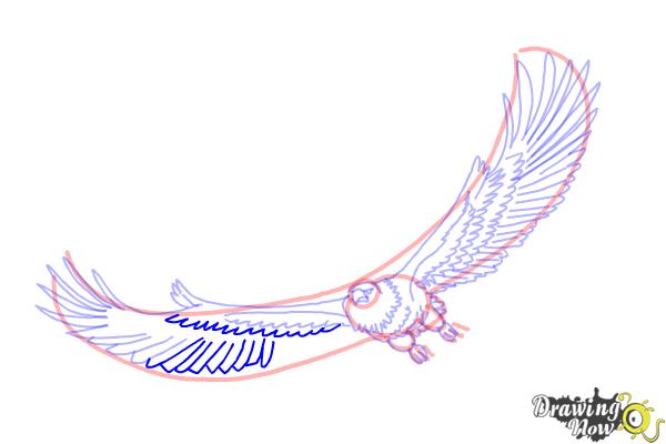 How to Draw Eagle Wings - Step 16