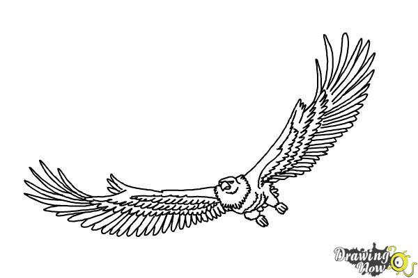 White wing art, Firearm Gun Drawing Sketch, eagle wings tattoo, monochrome,  brush, black And White png | PNGWing