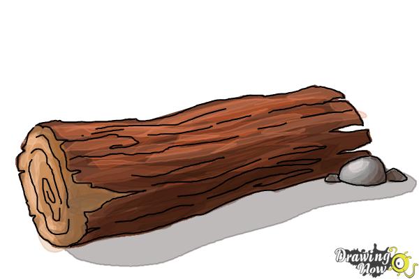 How to Draw a Log - Step 9