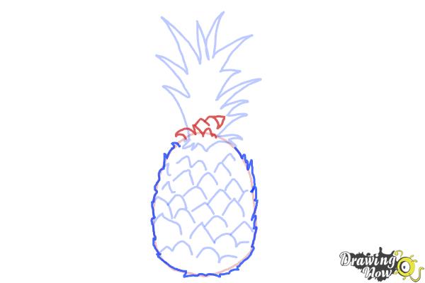 How to Draw a Pineapple - Step 5