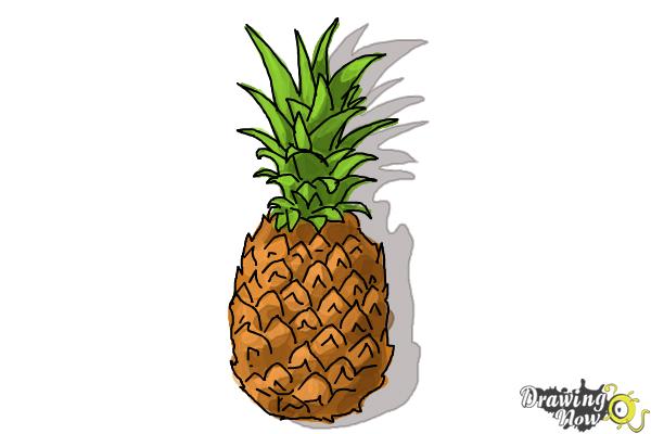 How to Draw a Pineapple - Step 8