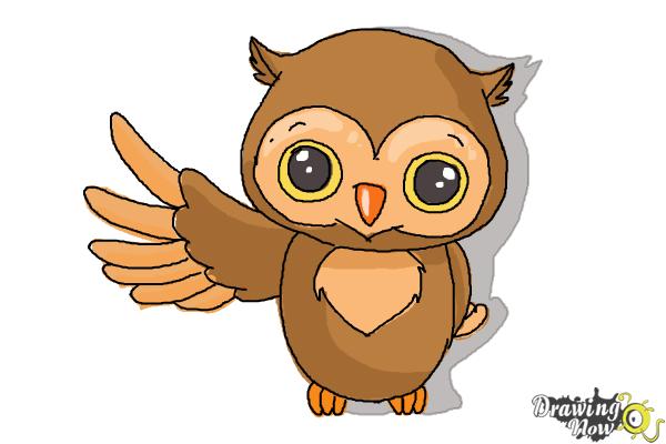How to Draw a Cute Owl - Step 9