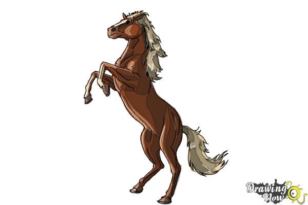 How to Draw a Horse Body - Step 10