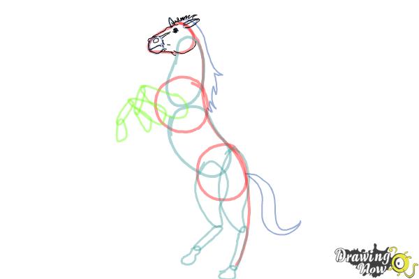 How to Draw a Horse Body - Step 5