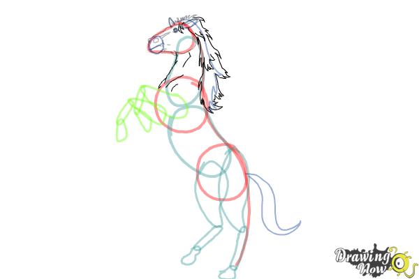 How to Draw a Horse Body - Step 6