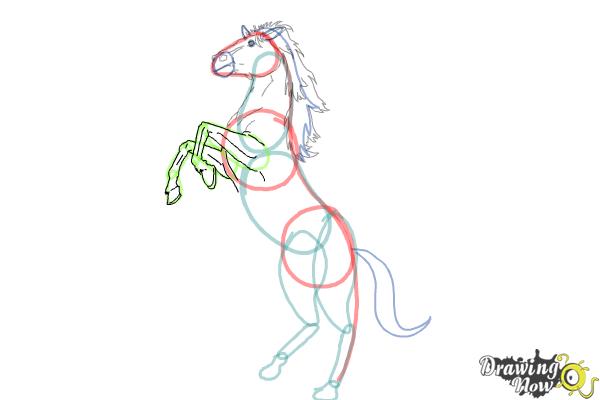 How to Draw a Horse Body - Step 7