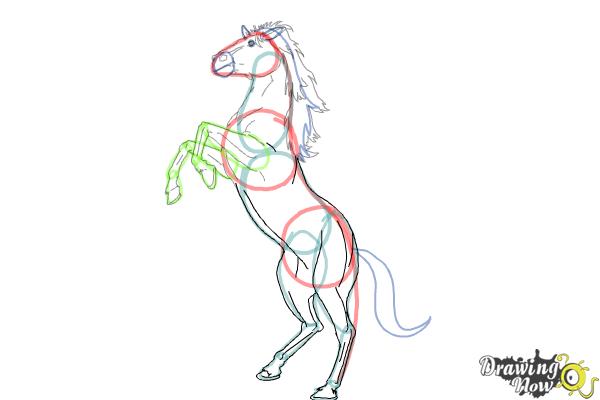 How to Draw a Horse Body - Step 8