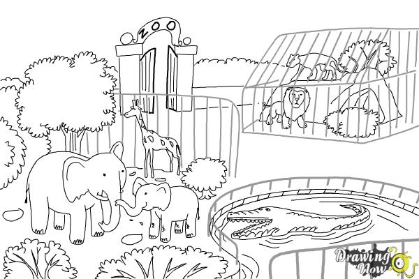 How to Draw a Zoo - Step 10