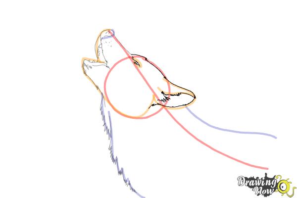 How to Draw a Wolf Howling - Step 7