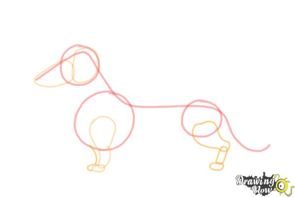 How to Draw Dachshund Step by Step - Step 5