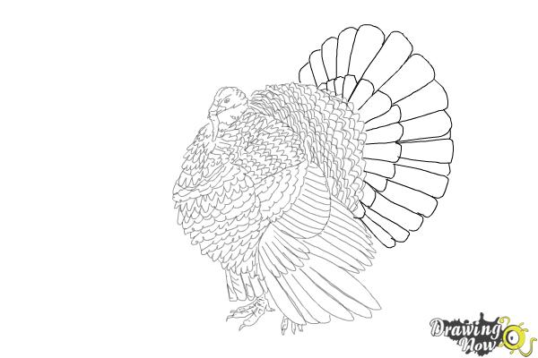 Coloring Page