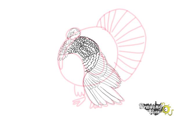 How to Draw a Turkey Step by Step - Step 7