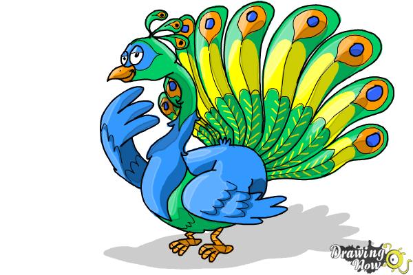 How to Draw a Cartoon Peacock - DrawingNow