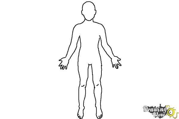 Featured image of post Human Body Outline Drawing Download human body outline stock vectors