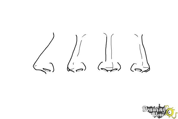 How to Draw a Female Nose - Step 14