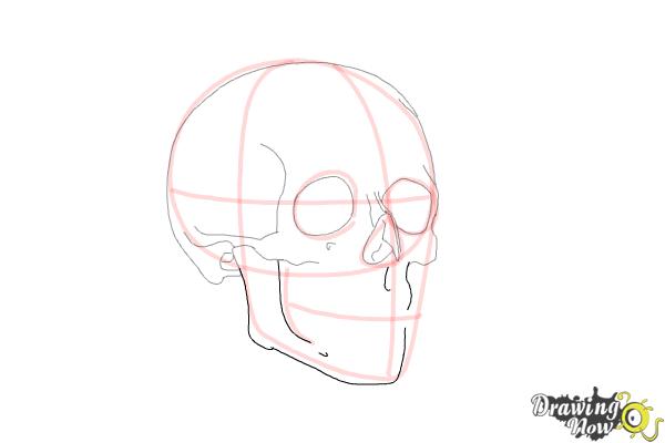 How to Draw a Skull Step by Step - Step 7