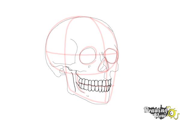 How to Draw a Skull Step by Step - Step 8