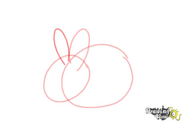 How to Draw a Baby Bunny - Step 4
