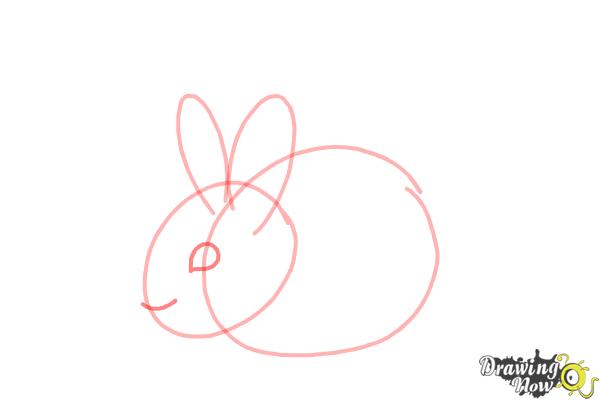 How to Draw a Baby Bunny - Step 5