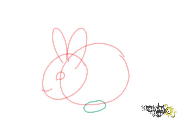 How to Draw a Baby Bunny - Step 6