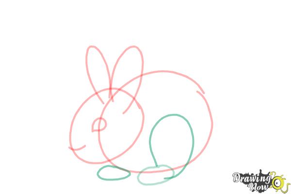 How to Draw a Baby Bunny - Step 7