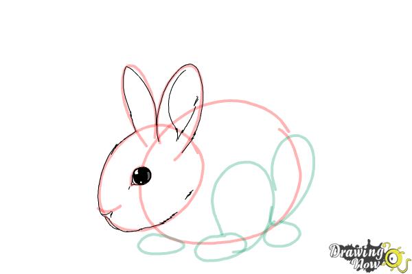 How to Draw a Baby Bunny - Step 9