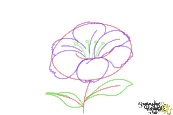 How to Draw a Flower Step by Step - Step 5